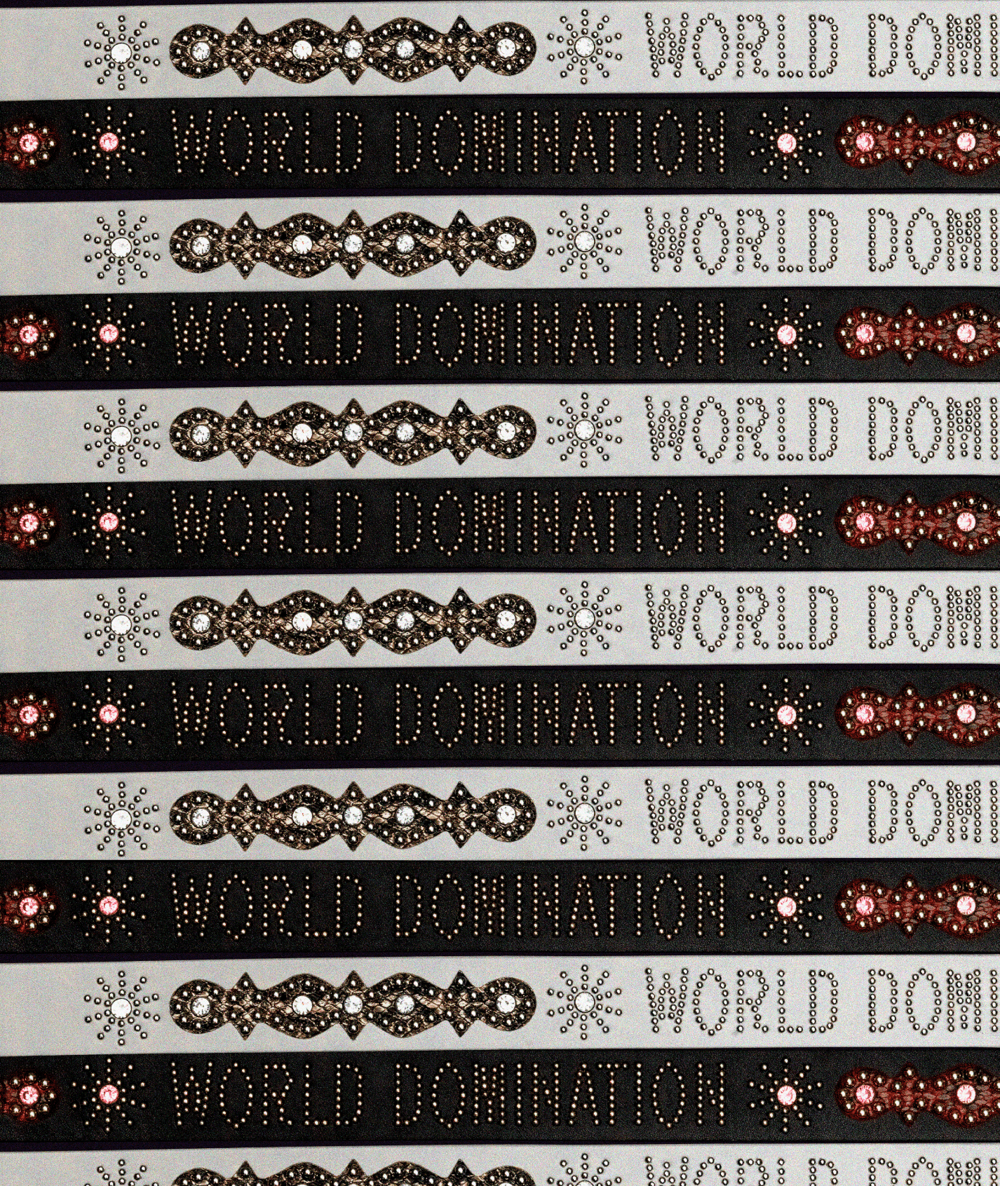 World Domination Belt - Beansmag
