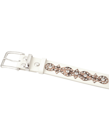 World Domination Belt - Beansmag